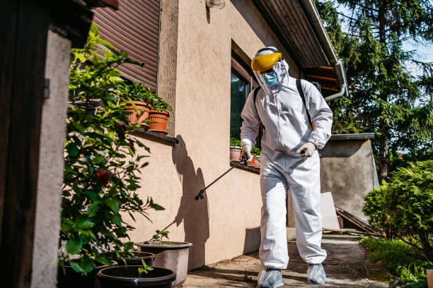 Best Best Pest Control Companies  in Huntington Park, CA