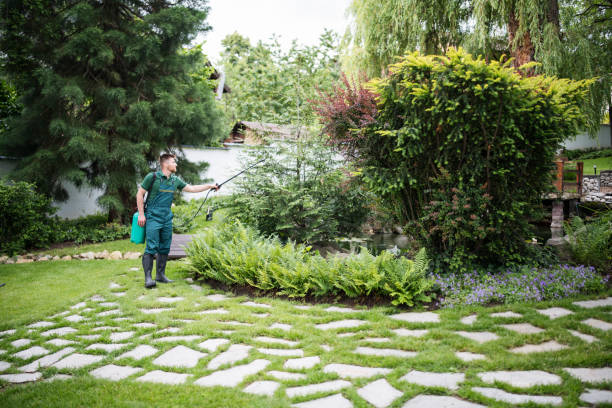 Best Bird Control  in Huntington Park, CA