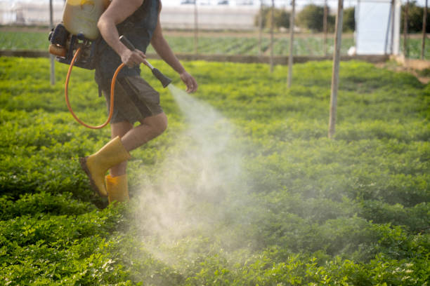 Best Flea Control Services  in Huntington Park, CA