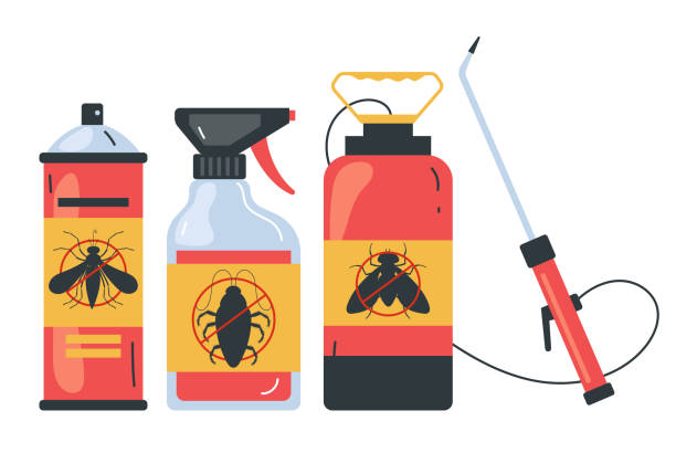 Best Termite Control Services  in Huntington Park, CA