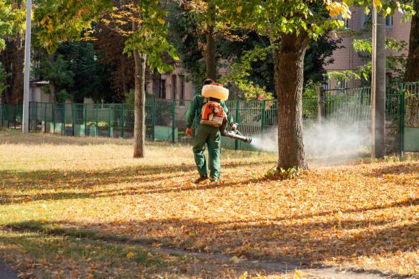 Best Rat Extermination Near Me  in Huntington Park, CA