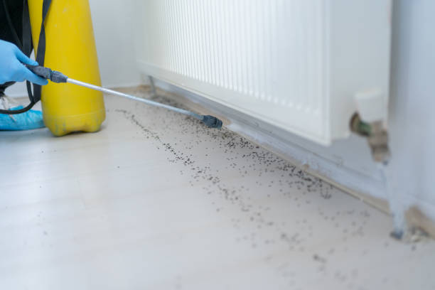 Best Wildlife Control Services  in Huntington Park, CA