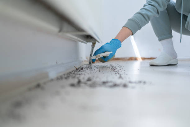Best Cockroach Control Services  in Huntington Park, CA