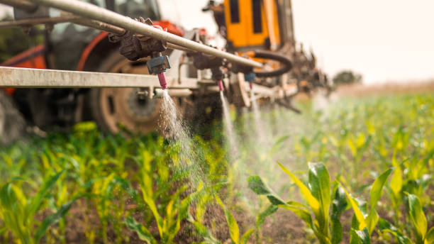 Professional Pest Control in Huntington Park, CA